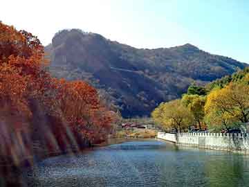 新澳门期期准精准，柴油加油泵